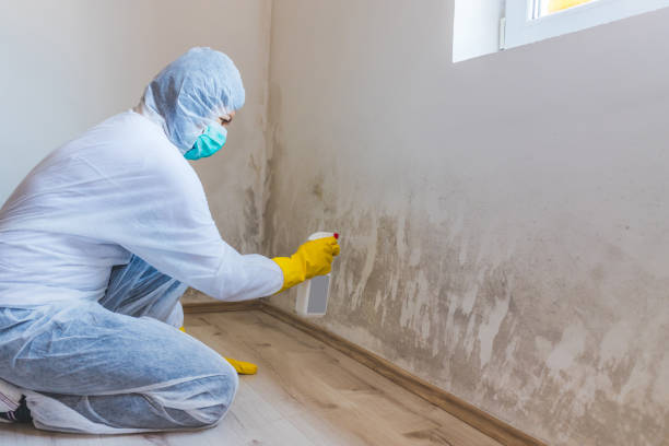 Licensed Mold Remediation service in Manchester, TN - 24 Hour Mold Removal