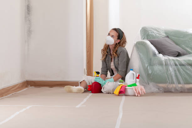 Reliable Mold Remediation contractor in Manchester, TN by 24 Hour Mold Removal